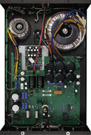 Rogue Audio DragoN Monoblocks - Pair