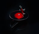 Pro-Ject AC/DC Turntable