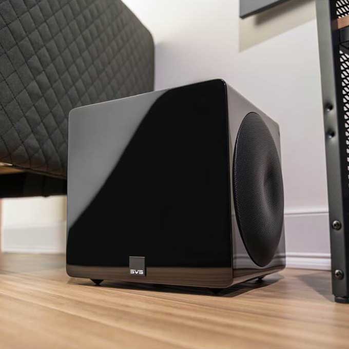 SVS 3000 MICRO