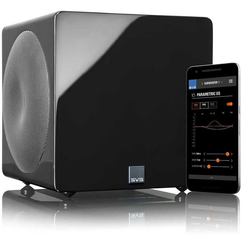 SVS 3000 MICRO